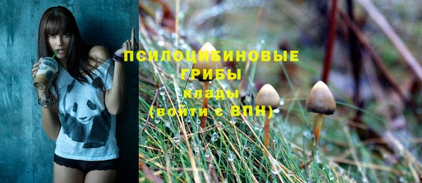 гашик Армянск